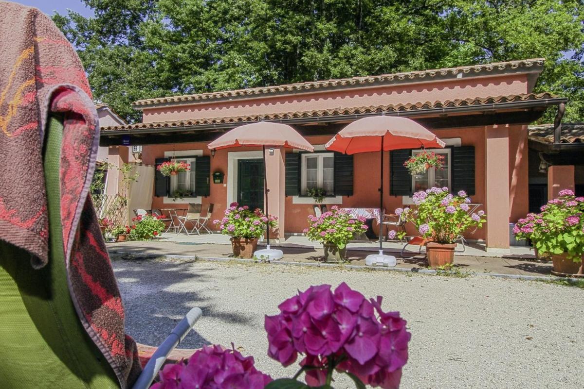 Dalibor In Jakacici - Haus Fuer 2-4 Personen Gracisce Luaran gambar